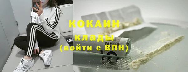 молекула духа Алексин