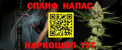 гидра Малгобек