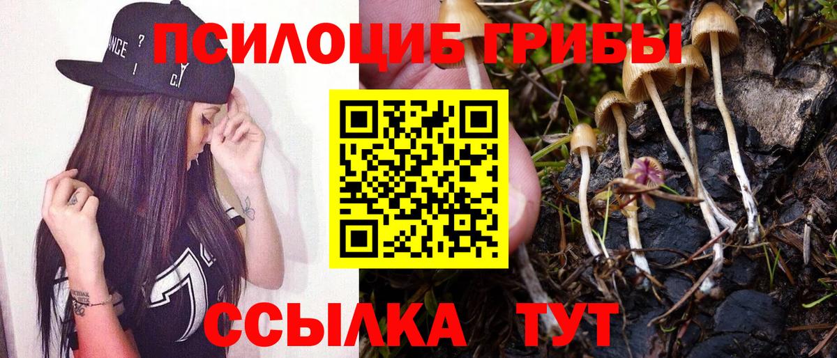 Псилоцибиновые грибы прущие грибы Курчалой