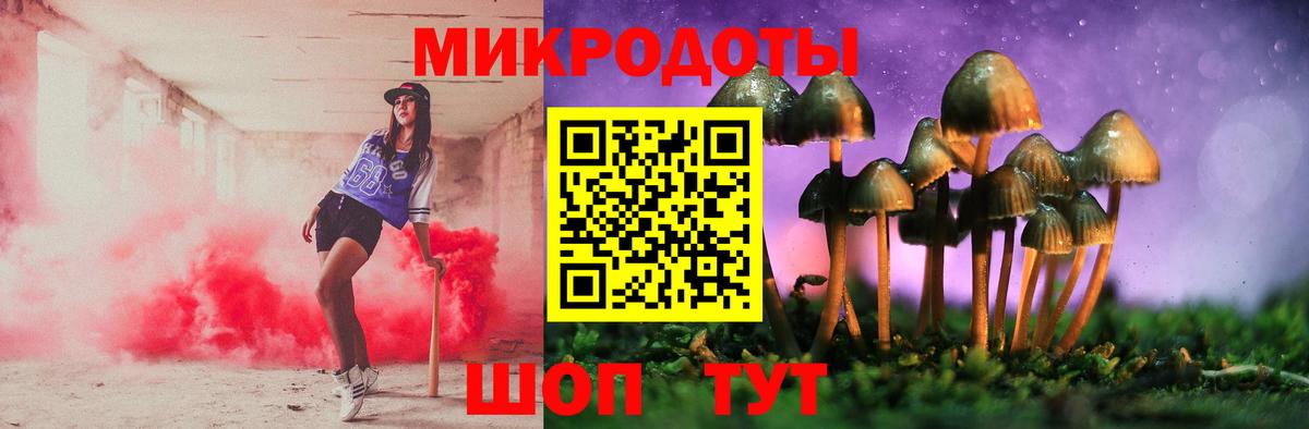 Галлюциногенные грибы MAGIC MUSHROOMS  Вход с VPN  закладка  Курчалой  Псилоцибиновые грибы Cubensis 