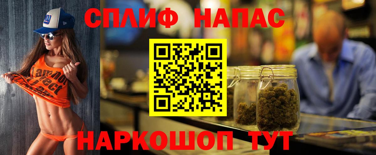Каннабис сатива Курчалой